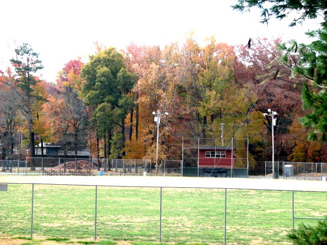 RCP Field in Fall