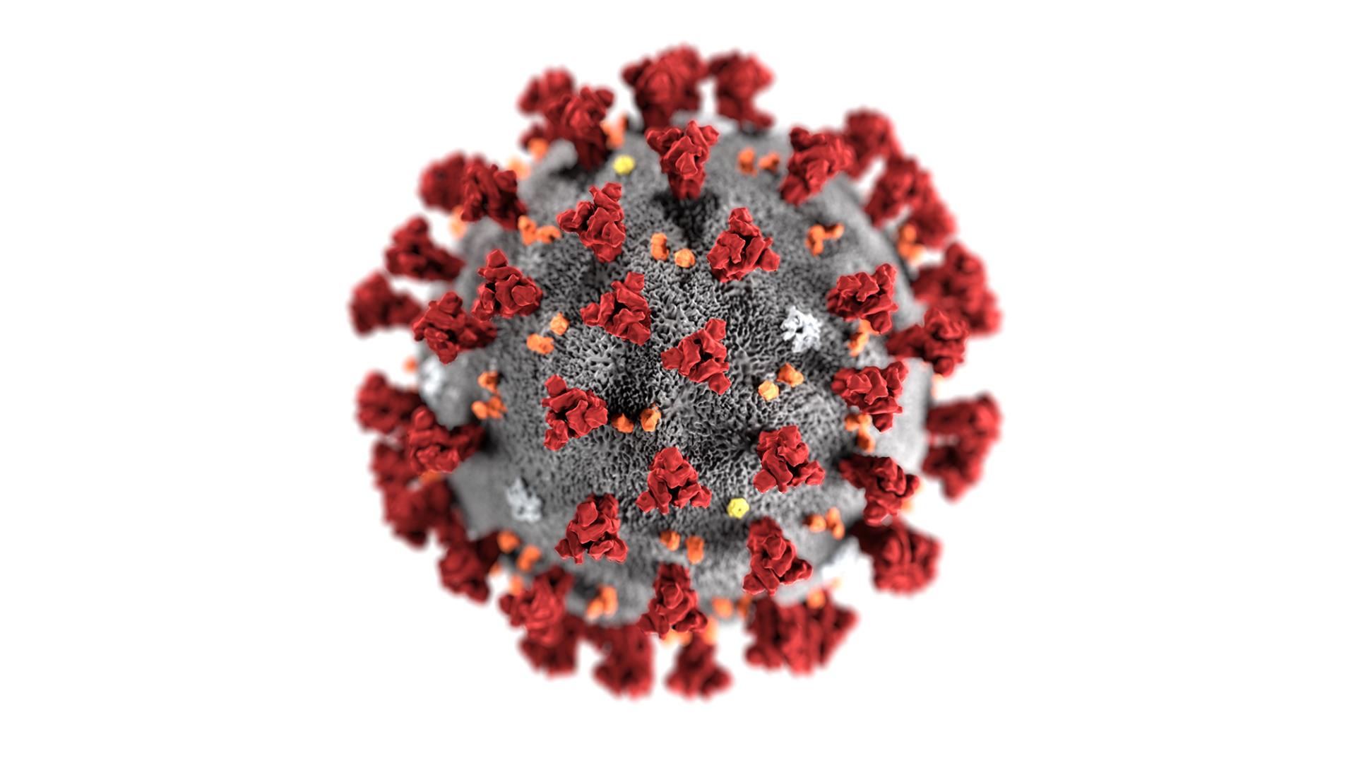 Coronavirus-CDC-transparent