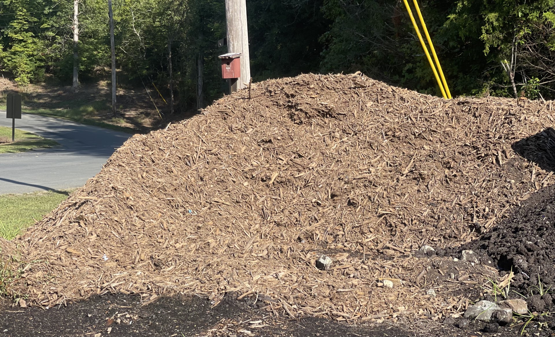 Wood Mulch Pile